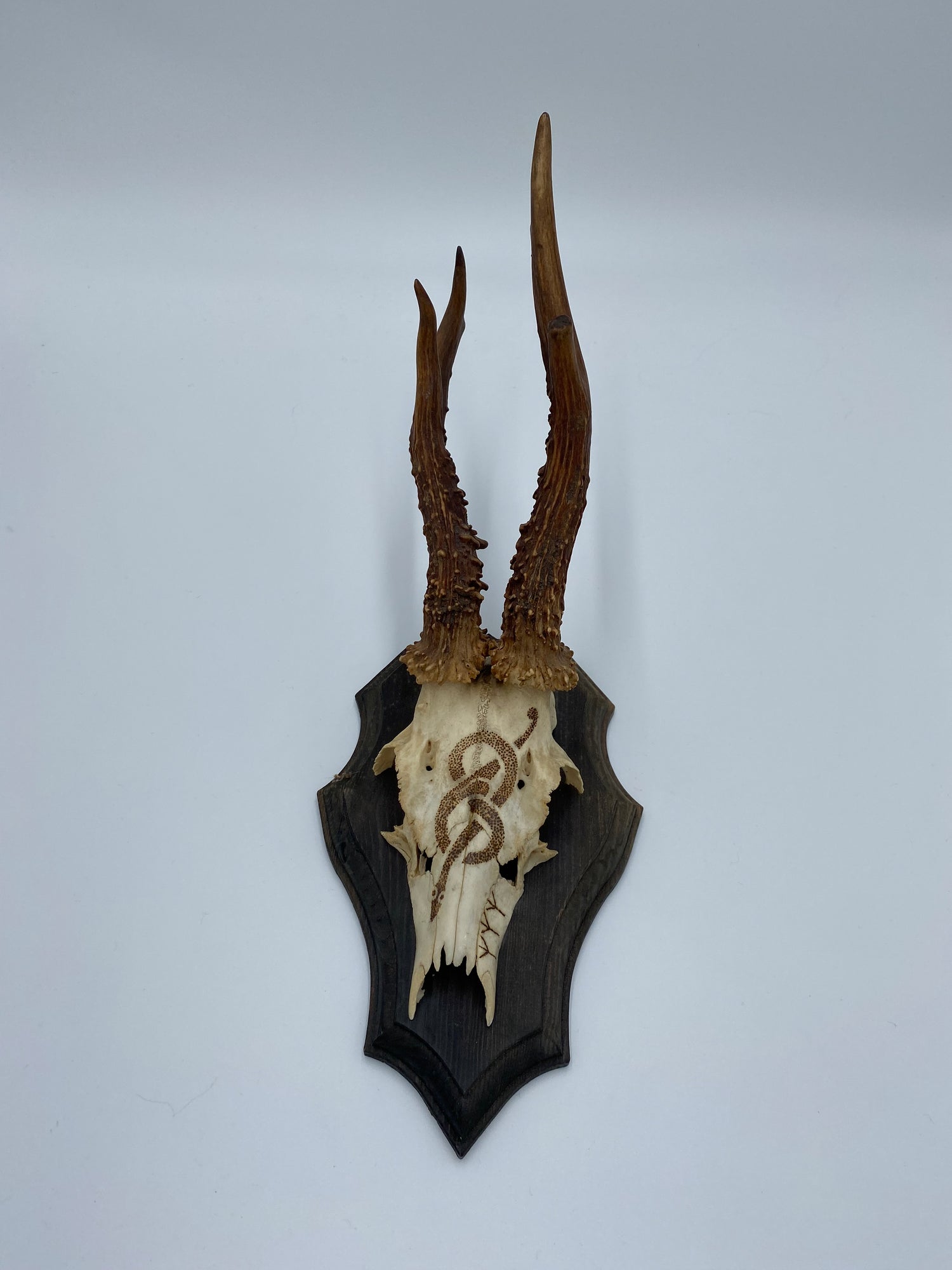 Deer skull ALGIZ